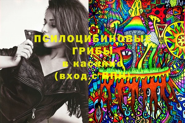 соль ск Алексеевка