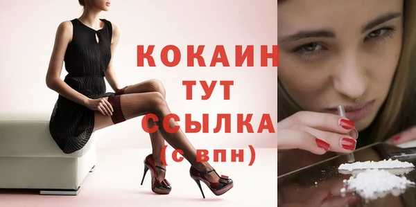 кокс Алексин