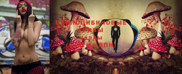 соль ск Алексеевка