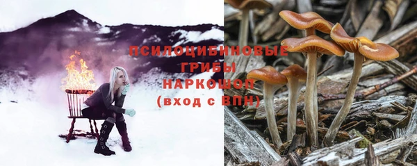тгк Алзамай