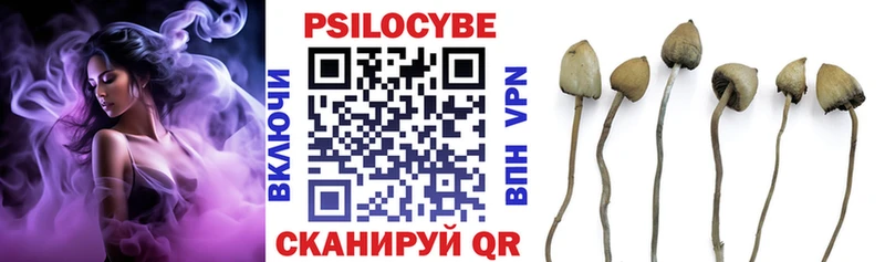 Галлюциногенные грибы GOLDEN TEACHER  наркошоп  Ипатово 